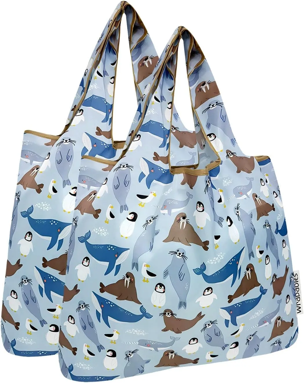 allydrew Medium Foldable Tote Nylon Reusable Grocery Bag (Set of 2)
