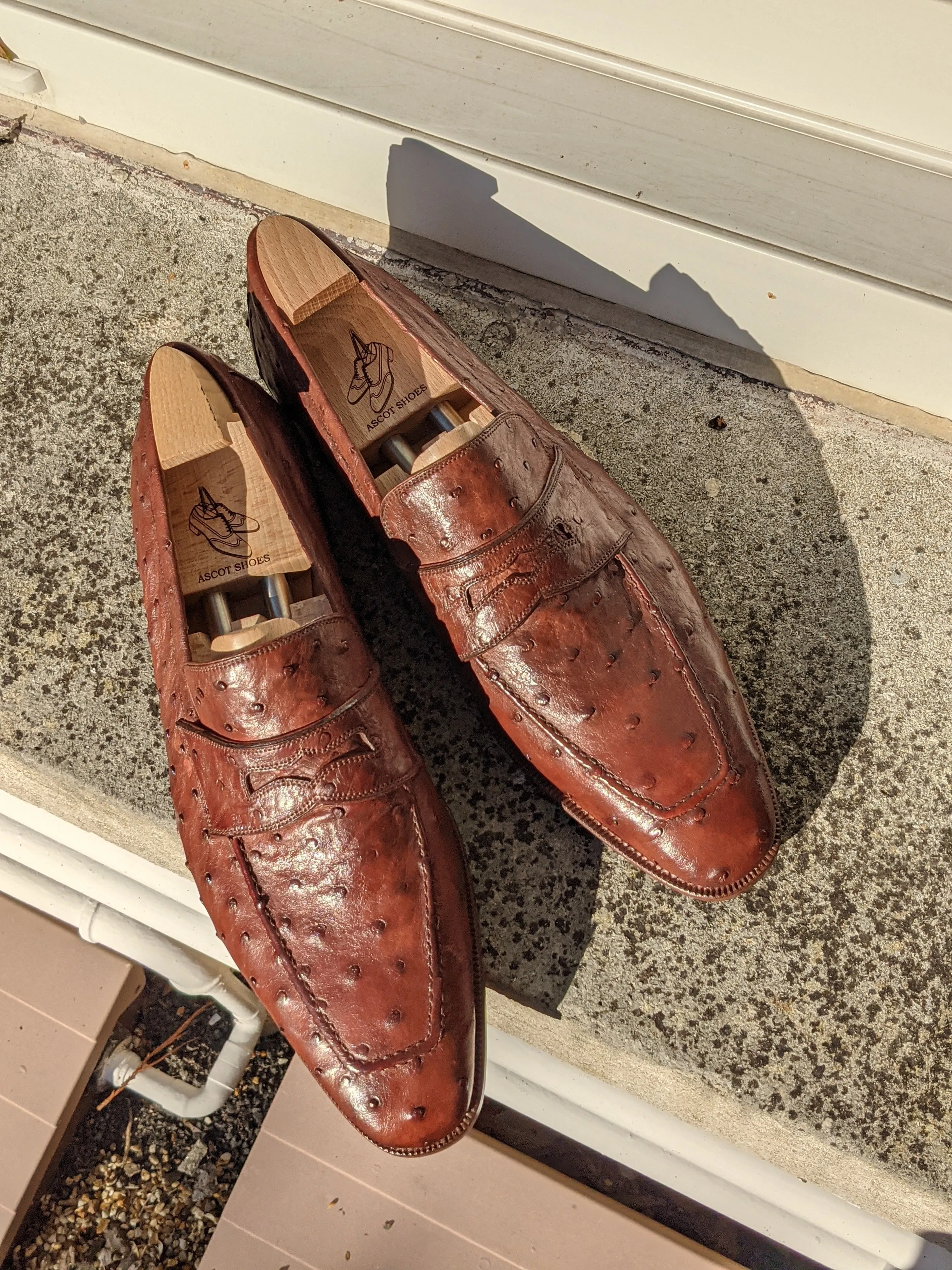 Ascot Sinatra - Cognac Ostrich
