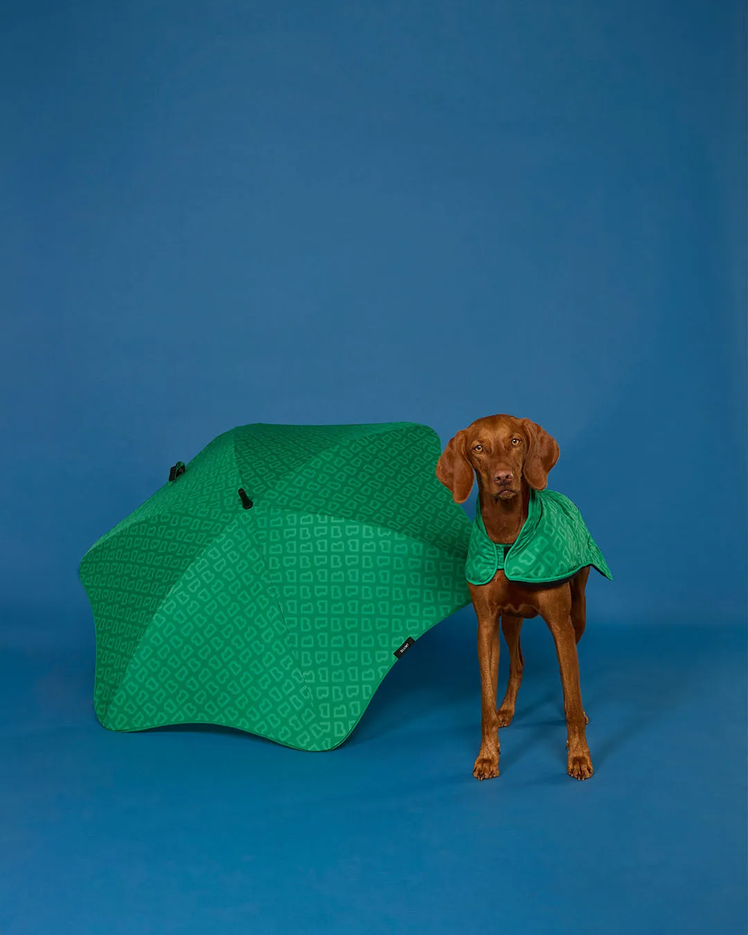 BLUNT - DOG JACKET | LARGE | PARK GREEN