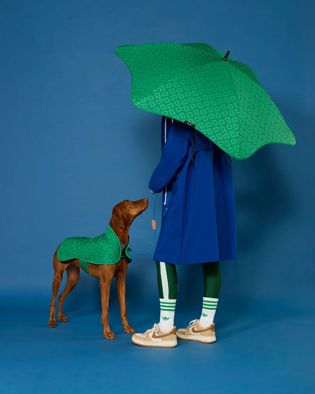 BLUNT - DOG JACKET | LARGE | PARK GREEN