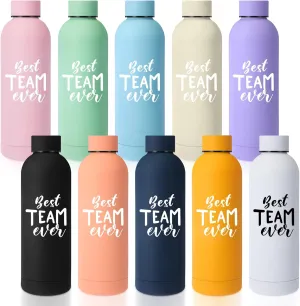 Bokon 10 Pcs Employee Appreciation Gifts Thank You Water Bottle Bulk 17 oz Stainless Steel Frosted Inspirational Bottle with Box for Coworker Teacher Nurse Principal Graduation Gifts