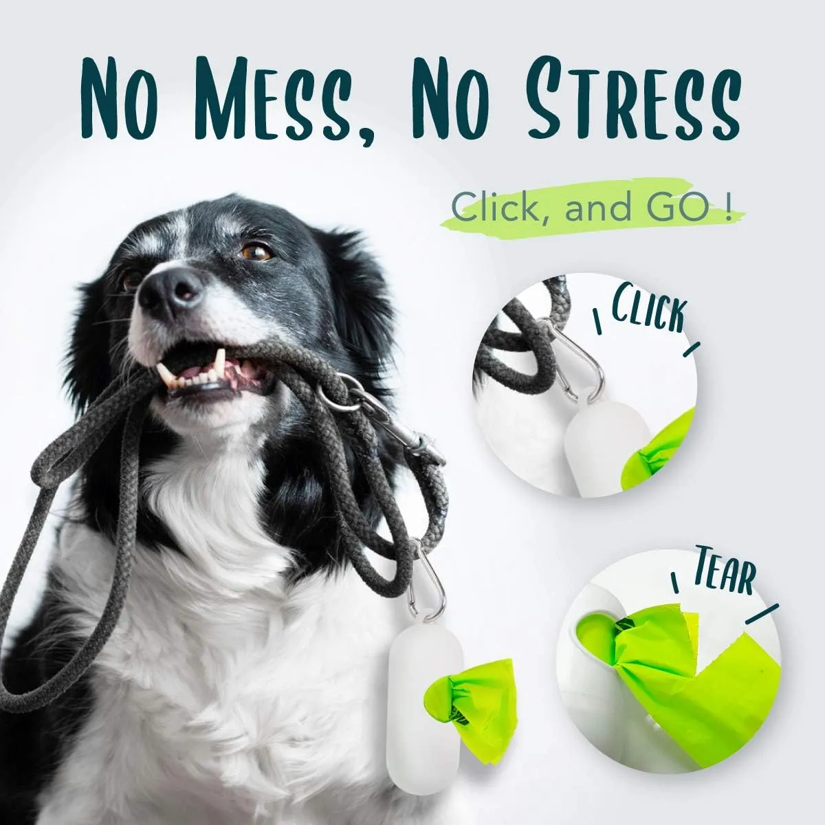 Compostable Dog Poop Bag Rolls, Doggie Poop Bags Bulk, Vegetable-Based Eco-Friendly Pet Waste Bags, Unscented, Extra Thick, Leak Proof, Size 9 x 13 Inches, Refills 240 Counts