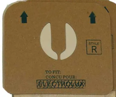 Electrolux Renaissance & Guardian Bags Style R