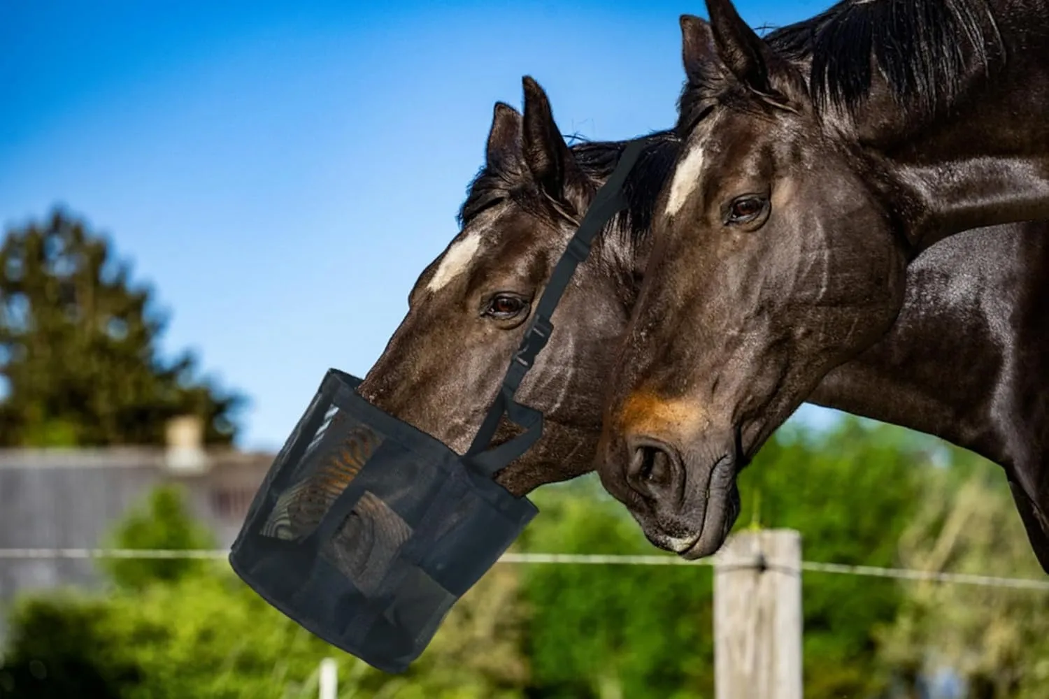 Horse Feed Bag for Grain, Small, Heavy Duty Durable Mesh Horse Feeder with Adjustable Strap, Comfortable Neck, Reinforced Waterproof Bottom Horse Muzzle Feed Bag