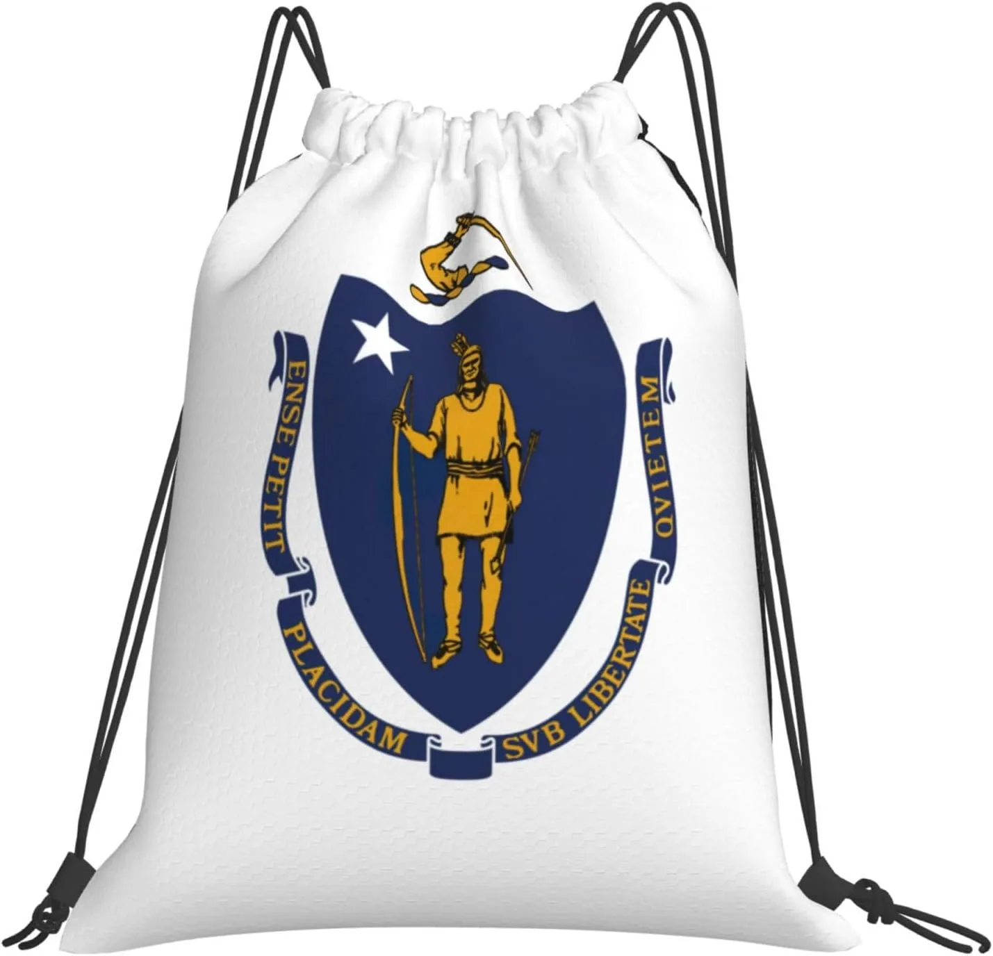 Massachusetts State Flag print Casual drawstring backpack fitness bag, fashionable, fit for sports travel and daily use