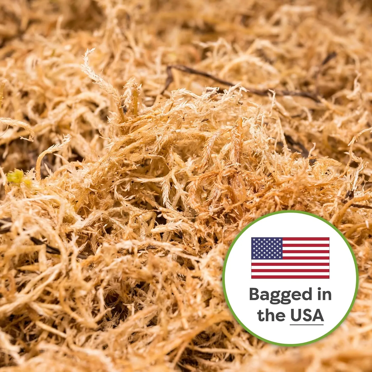 Perfect Plants Premium Sphagnum Moss in 8qt. Resealable Bag | Long fibered Sustainably Harvested Moss | for All Orchid Varieties