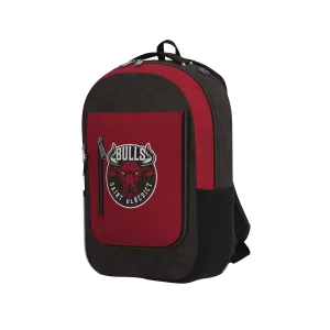 Premium Back Pack - Ball Carrier
