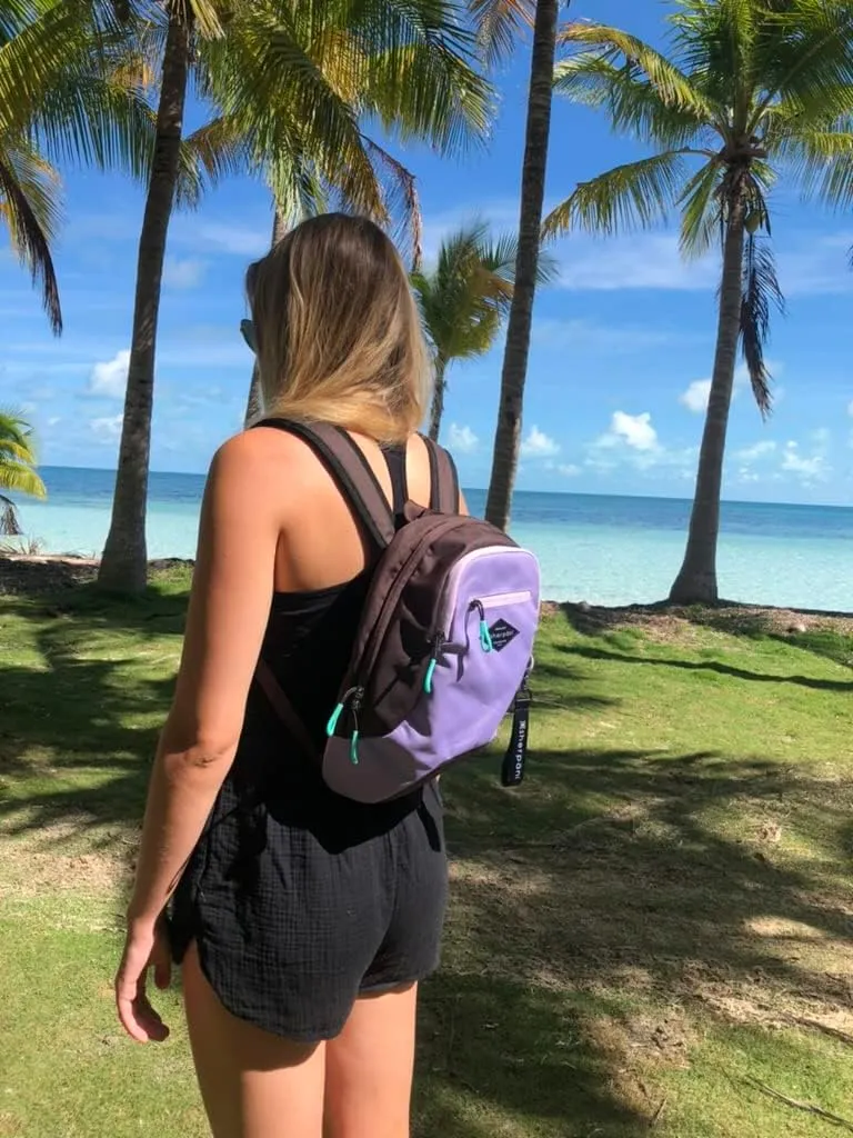 Sherpani Vespa, Mini Backpack for Women, Backpack Purse for Women, Travel Bag, RFID Protection, Fits 10 Inch Tablet (Lavender)